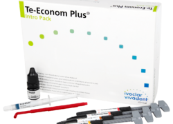 Ivoclar Te-Econom Plus Intro Pack 4x4g